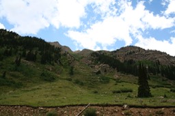 IMG_0205