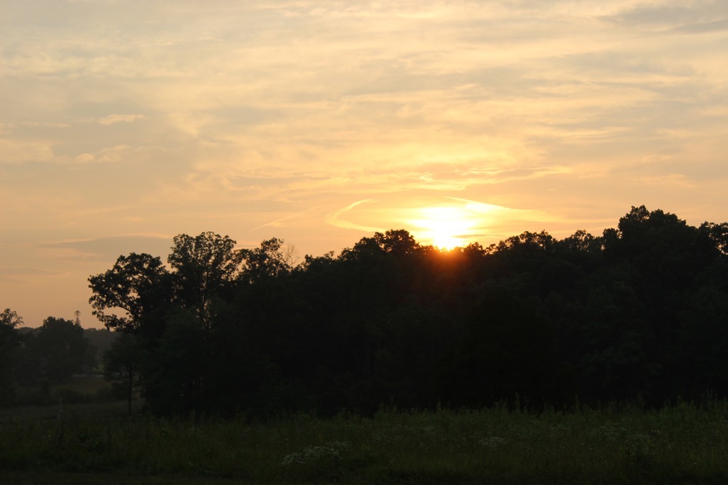 img_1942_med_hr