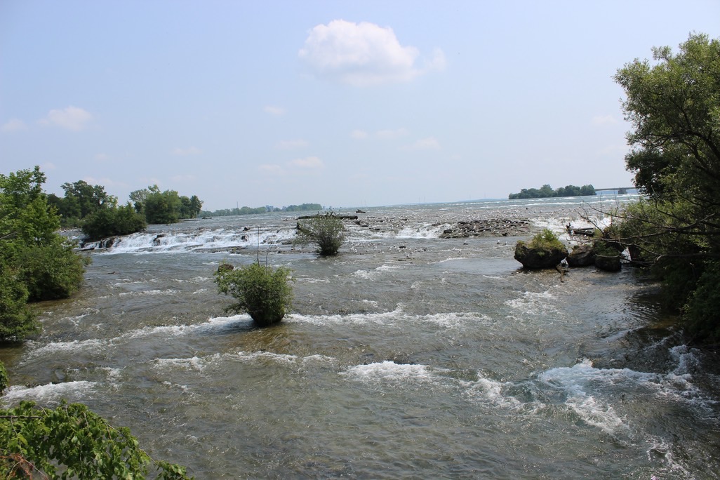 img_5748_med_hr