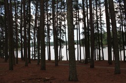 IMG_1381