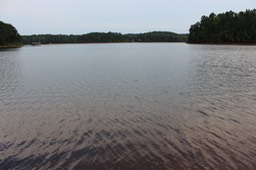IMG_1392