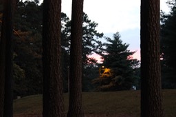 IMG_1401