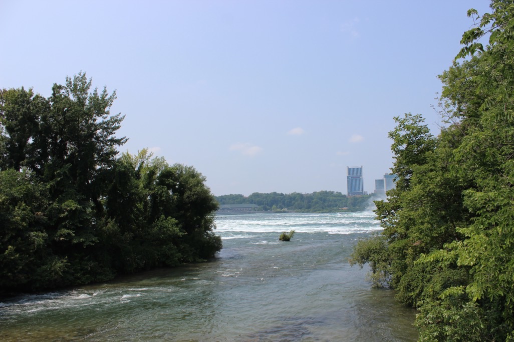 img_5749_med_hr