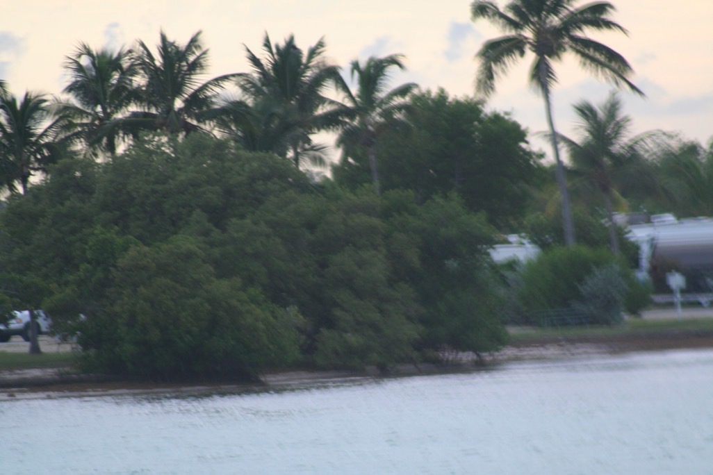 img_7101_med_hr